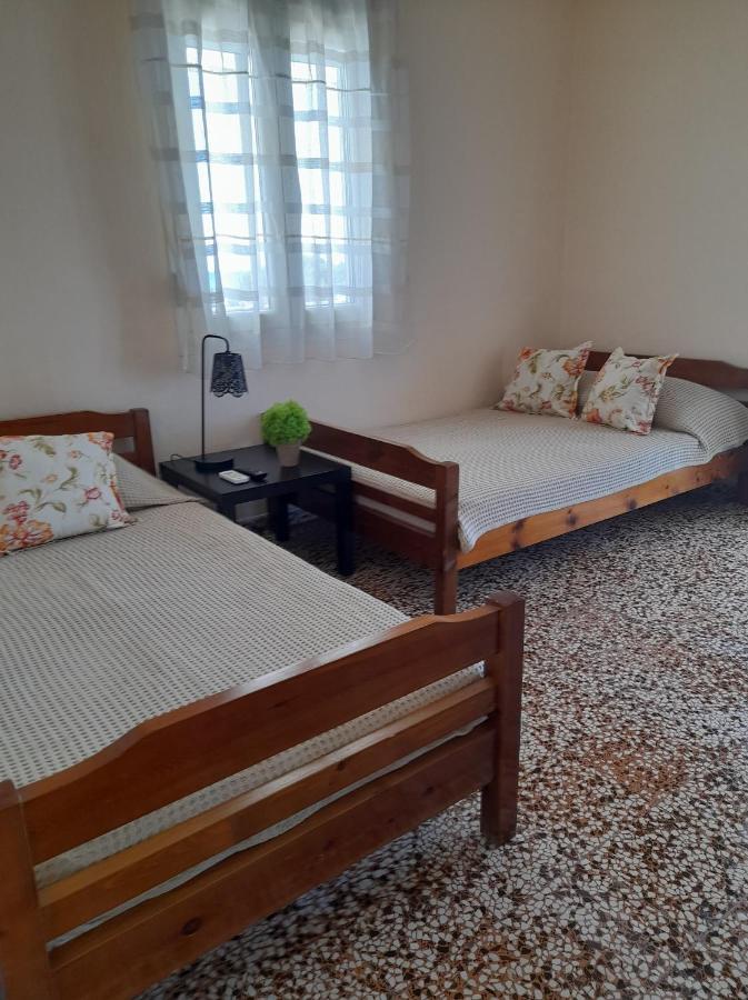Isalos Apartments Studios Neoi Epivatai Bagian luar foto